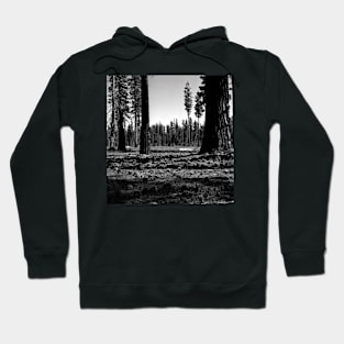 Near Hetch-Hetchy in Yosemite N.P. Hoodie